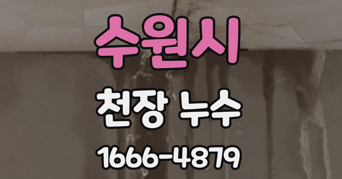 수원시 천장 누수