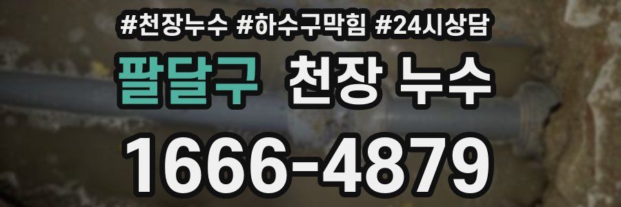 팔달구 천장 누수