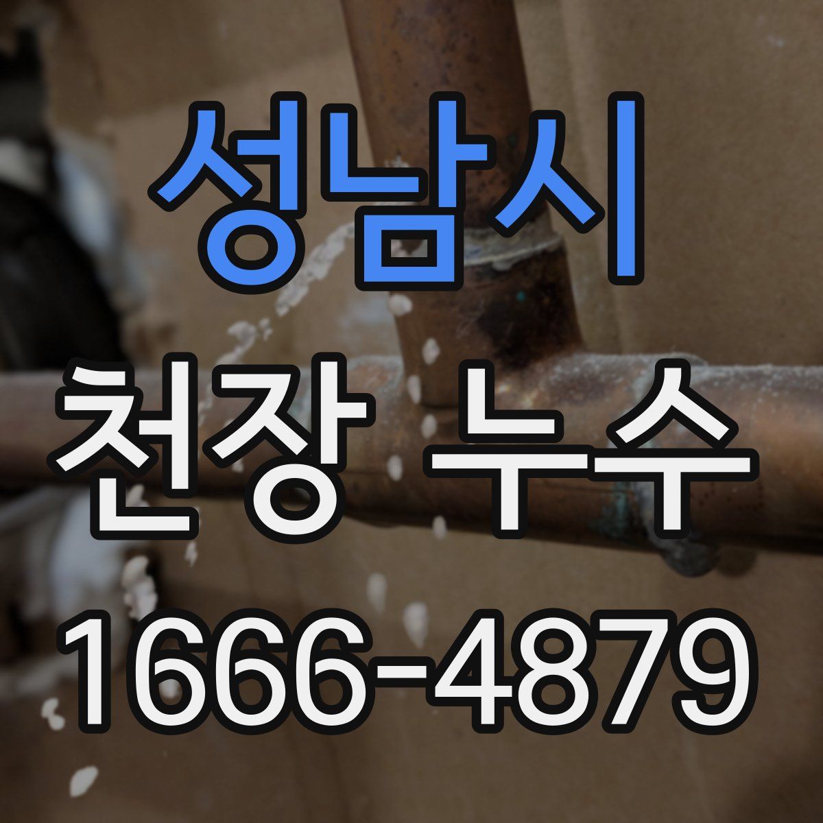 성남시 천장 누수