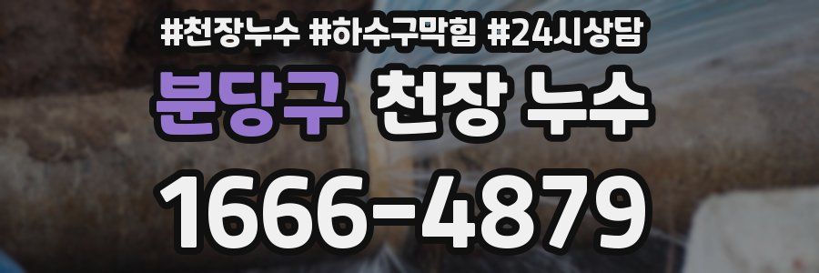 분당구 천장 누수