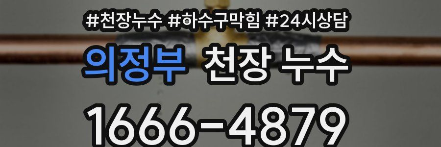 의정부 천장 누수