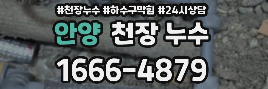 안양 천장 누수