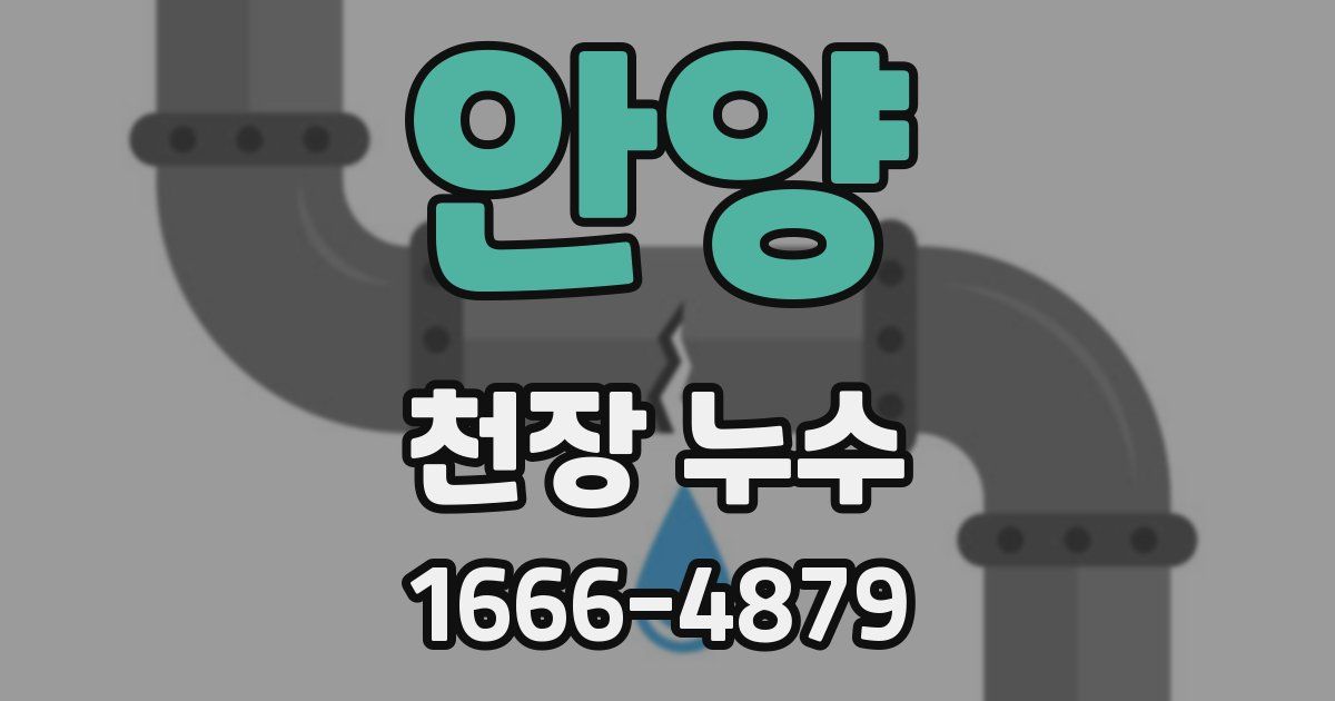 안양 천장 누수