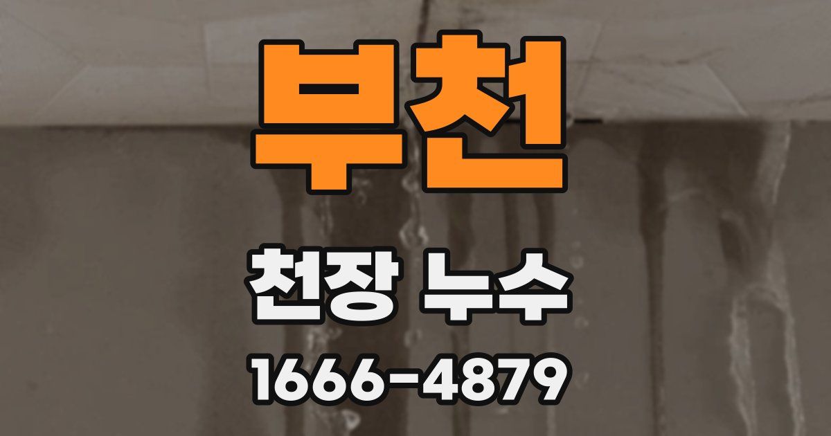 부천 천장 누수