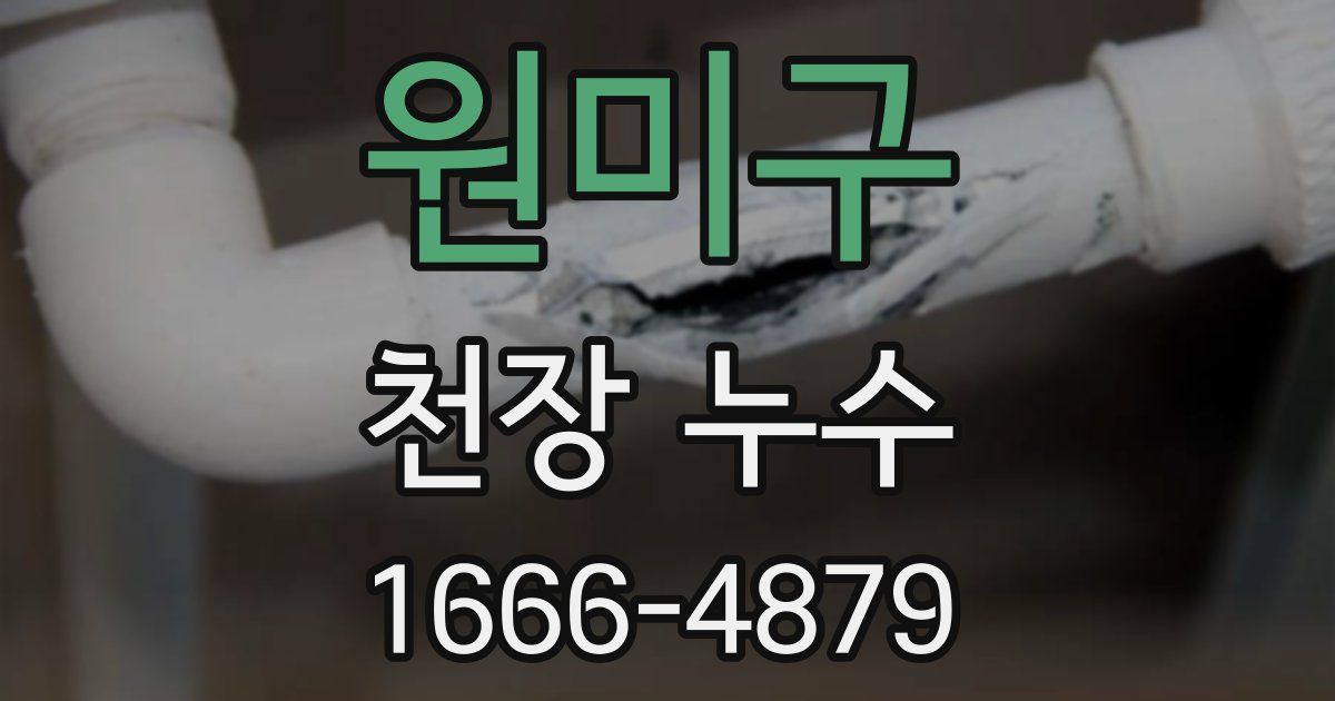 원미구 천장 누수