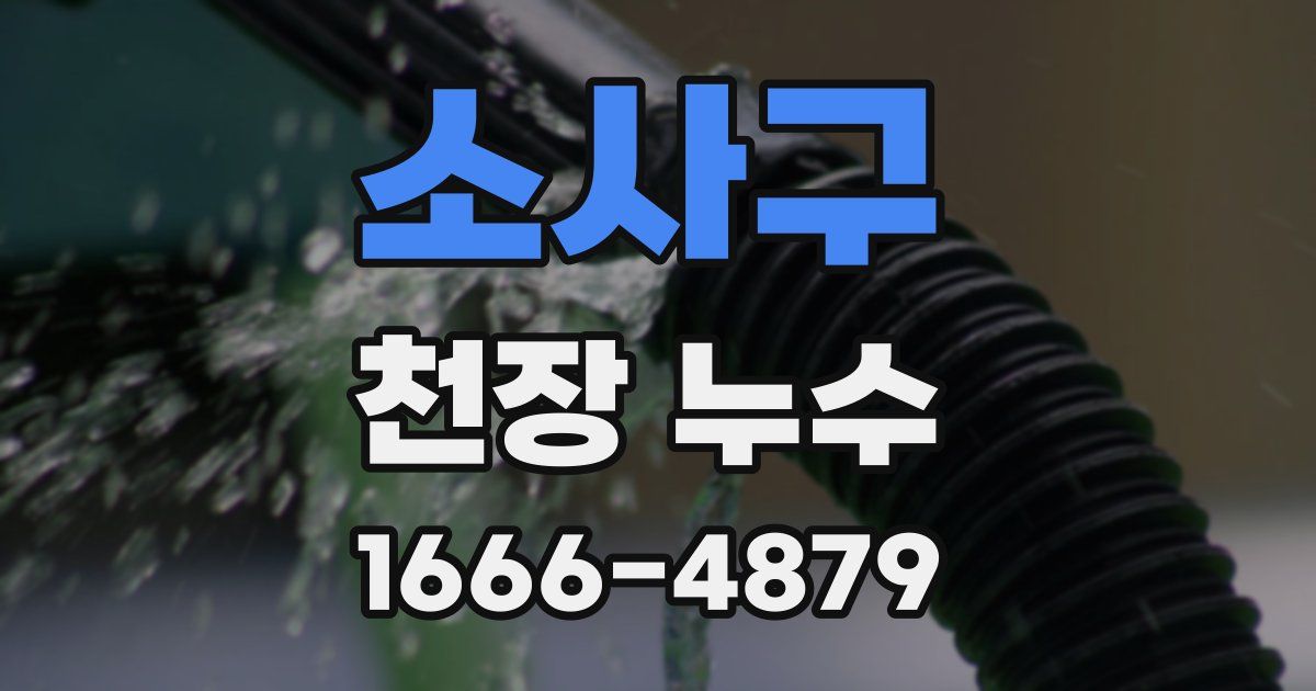 소사구 천장 누수