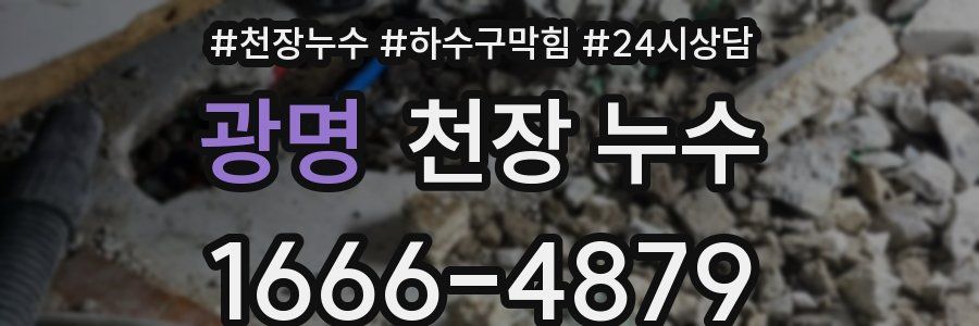 광명 천장 누수