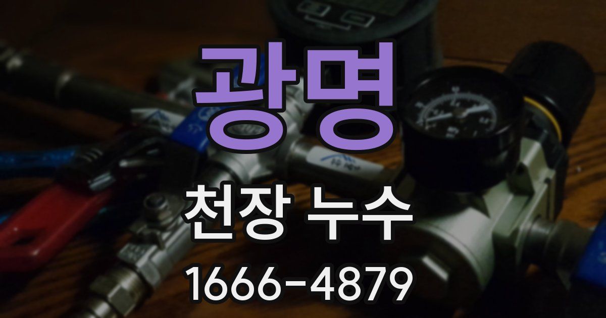 광명 천장 누수