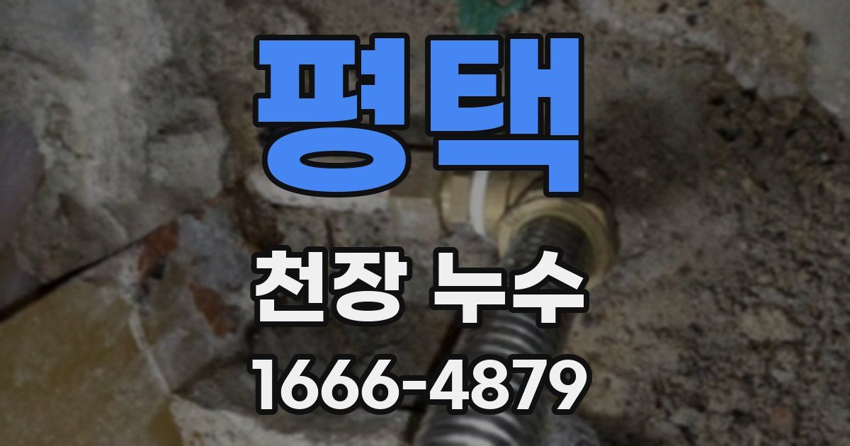 평택 천장 누수