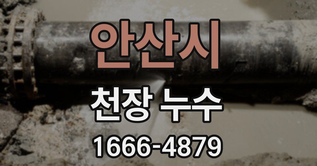 안산시 천장 누수