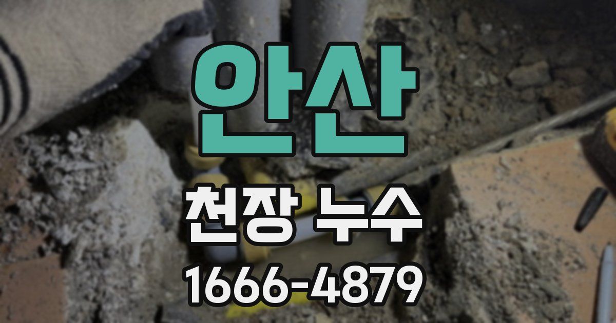 안산 천장 누수