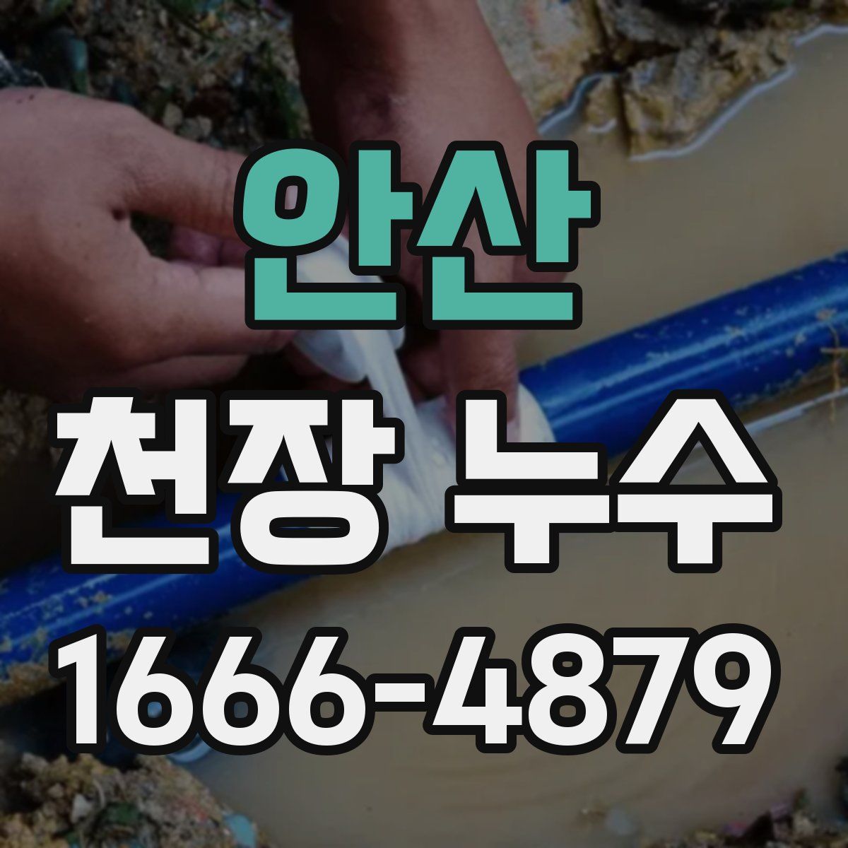 안산 천장 누수