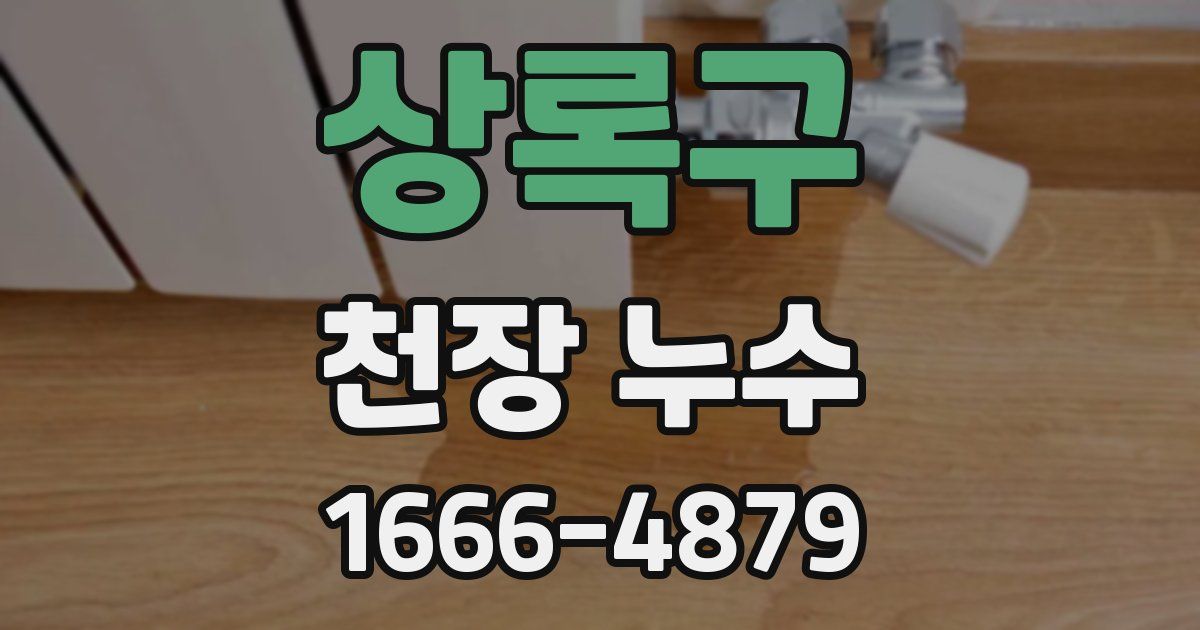 상록구 천장 누수