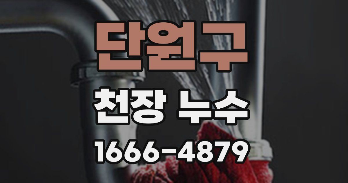 단원구 천장 누수