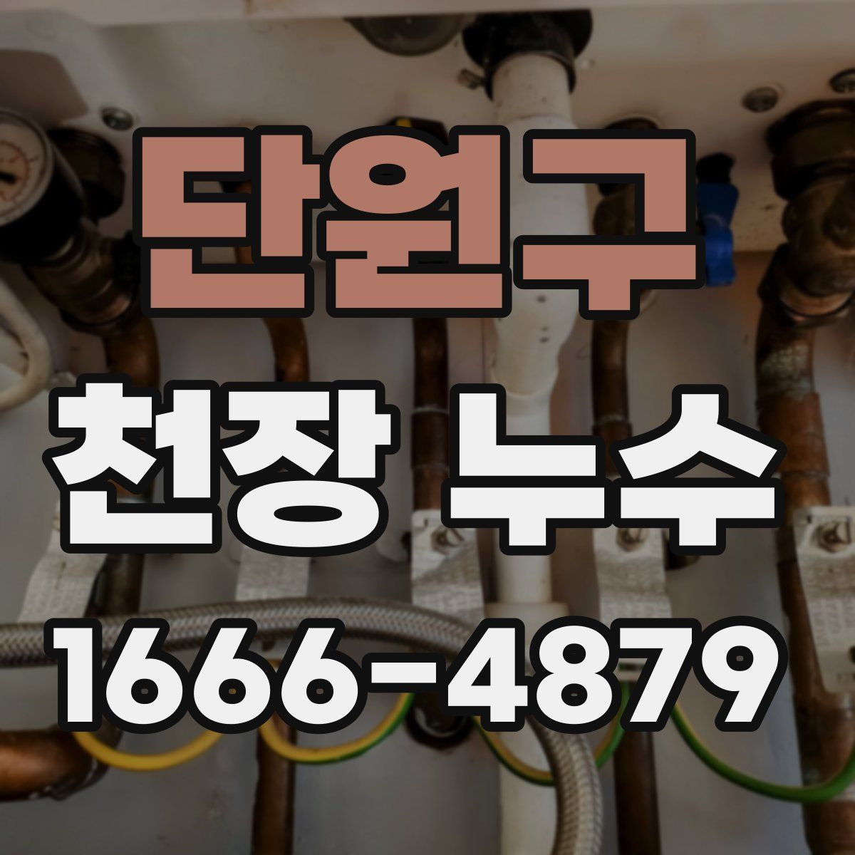 단원구 천장 누수