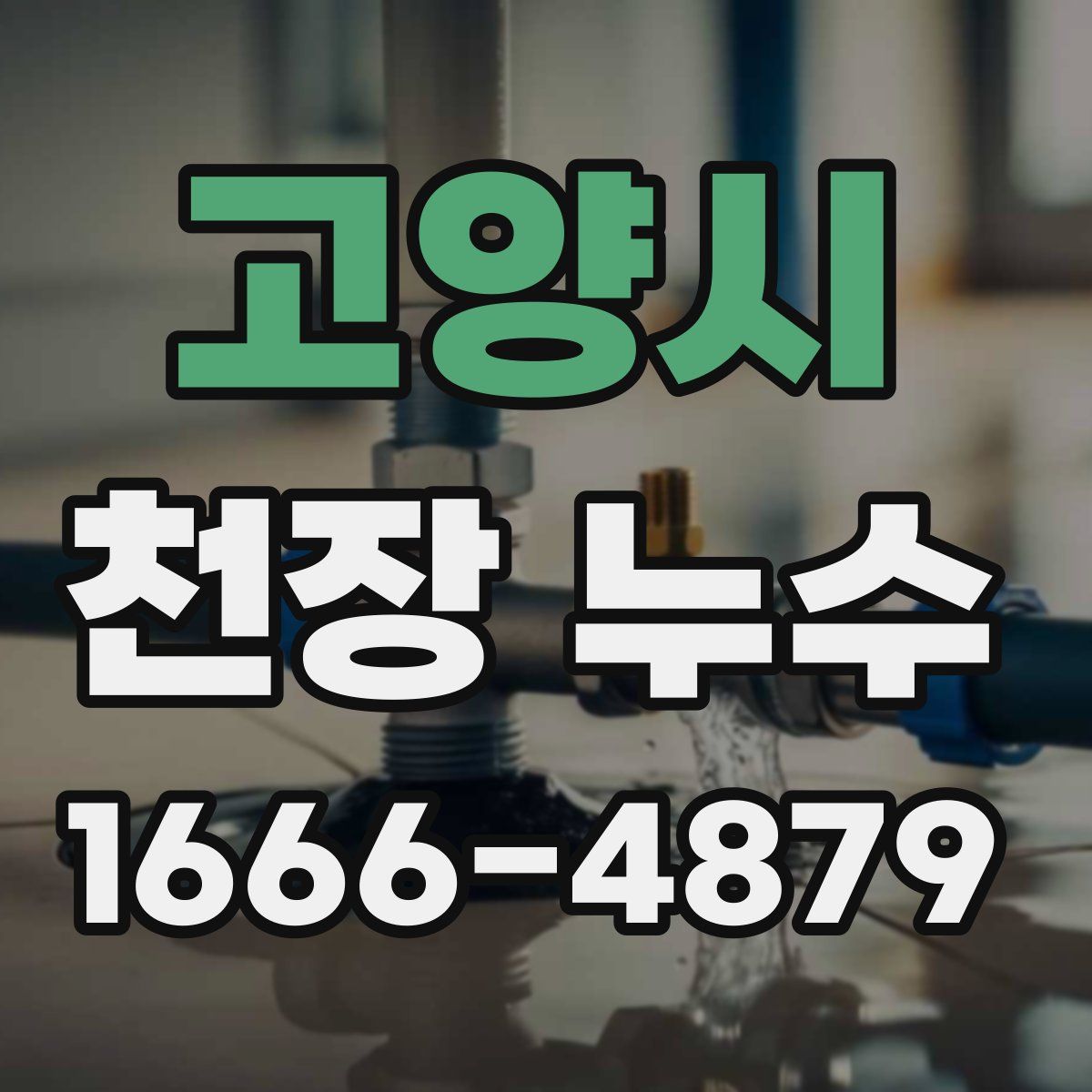 고양시 천장 누수