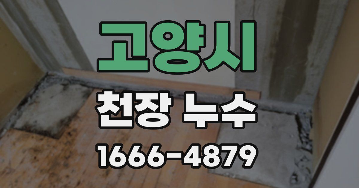 고양시 천장 누수