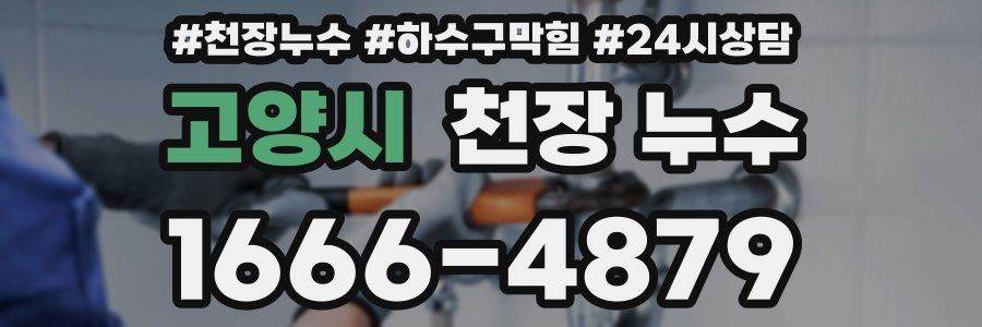 고양시 천장 누수