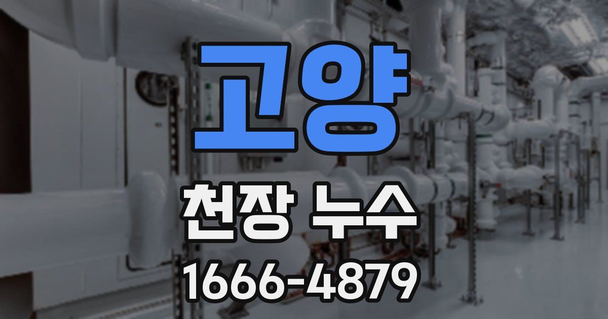 고양 천장 누수