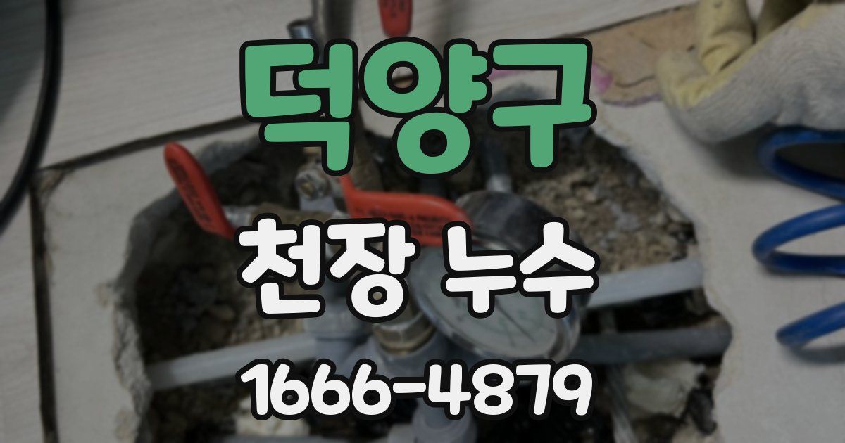 덕양구 천장 누수