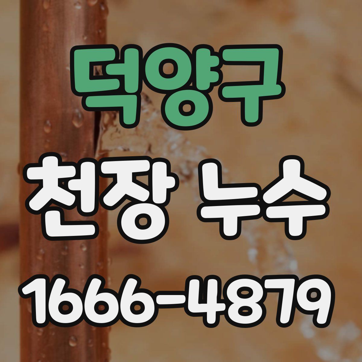 덕양구 천장 누수