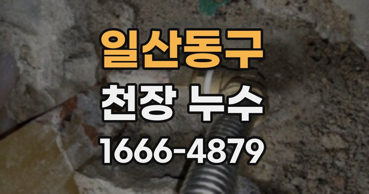 일산동구 천장 누수