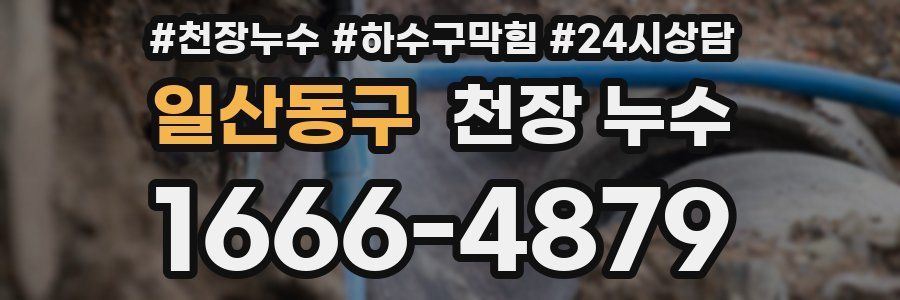 일산동구 천장 누수