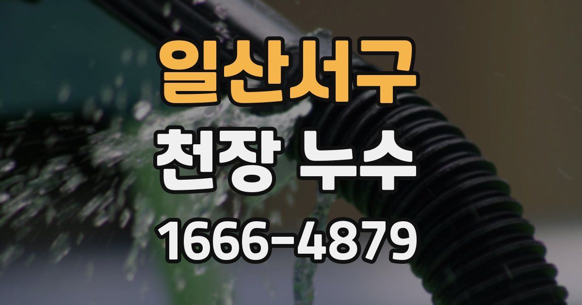 일산서구 천장 누수