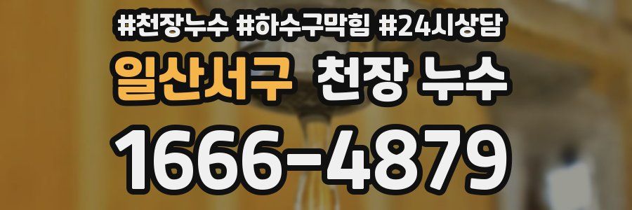 일산서구 천장 누수