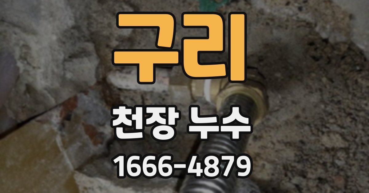 구리 천장 누수