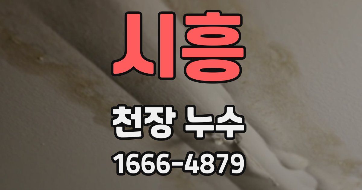 시흥 천장 누수