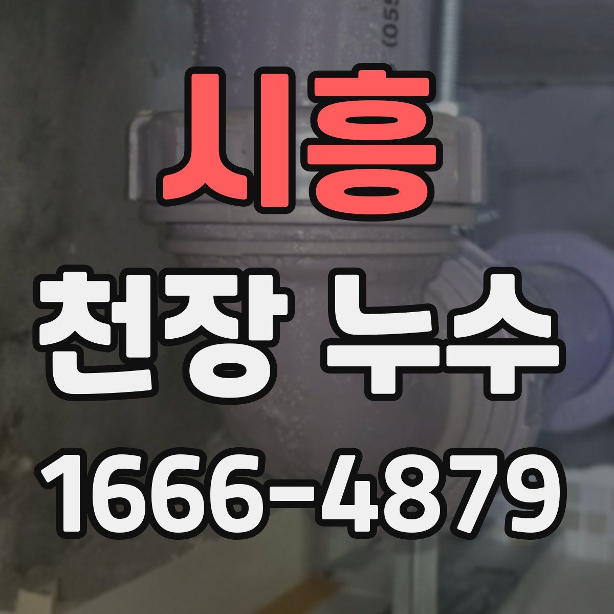 시흥 천장 누수