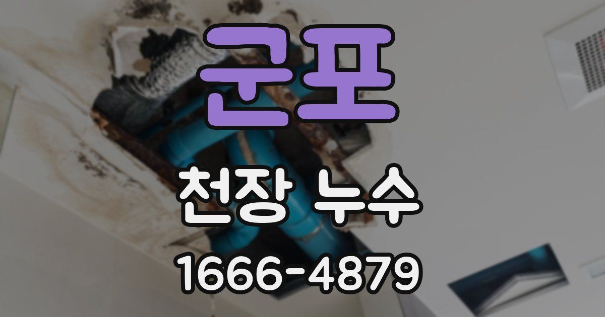 군포 천장 누수