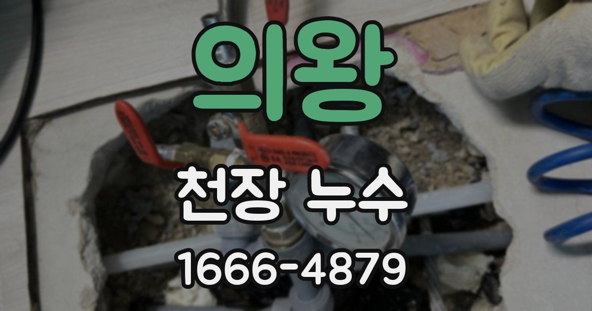 의왕 천장 누수