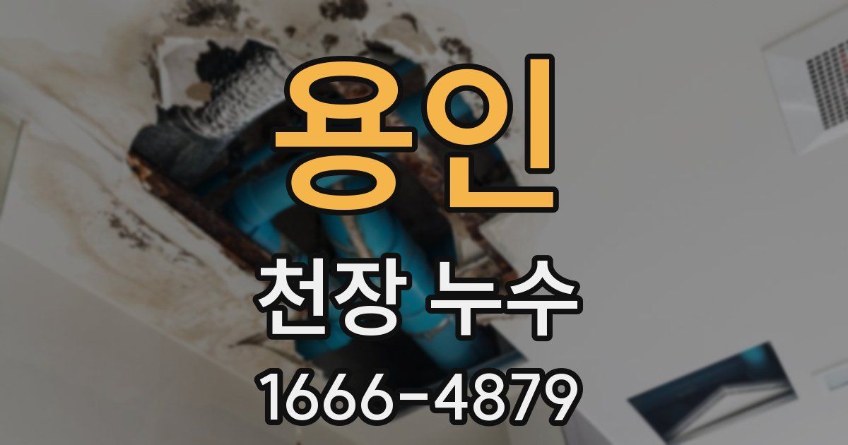 용인 천장 누수