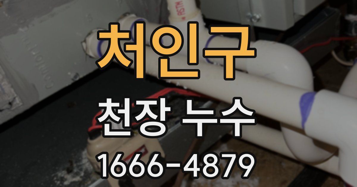 처인구 천장 누수