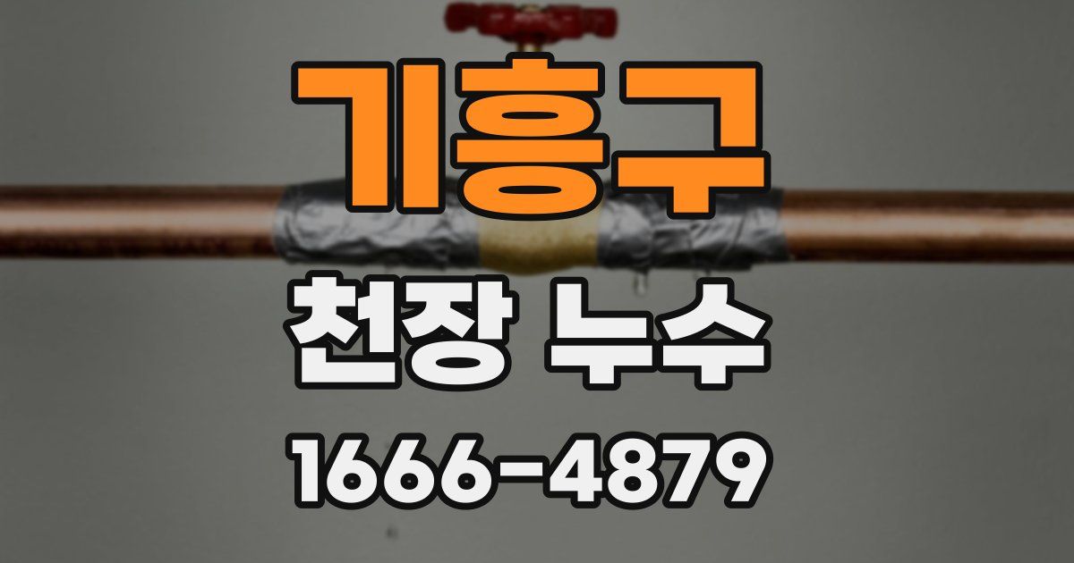 기흥구 천장 누수