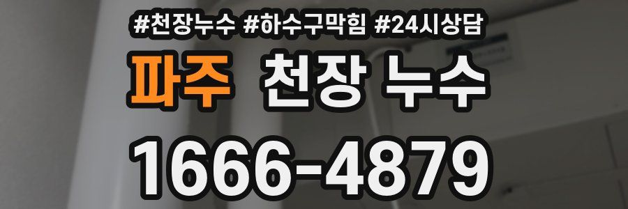 파주 천장 누수