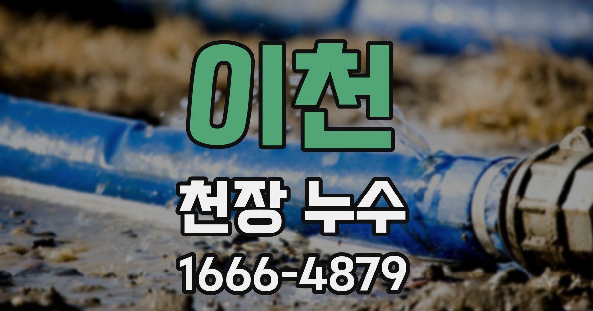 이천 천장 누수