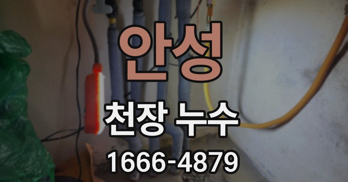 안성 천장 누수