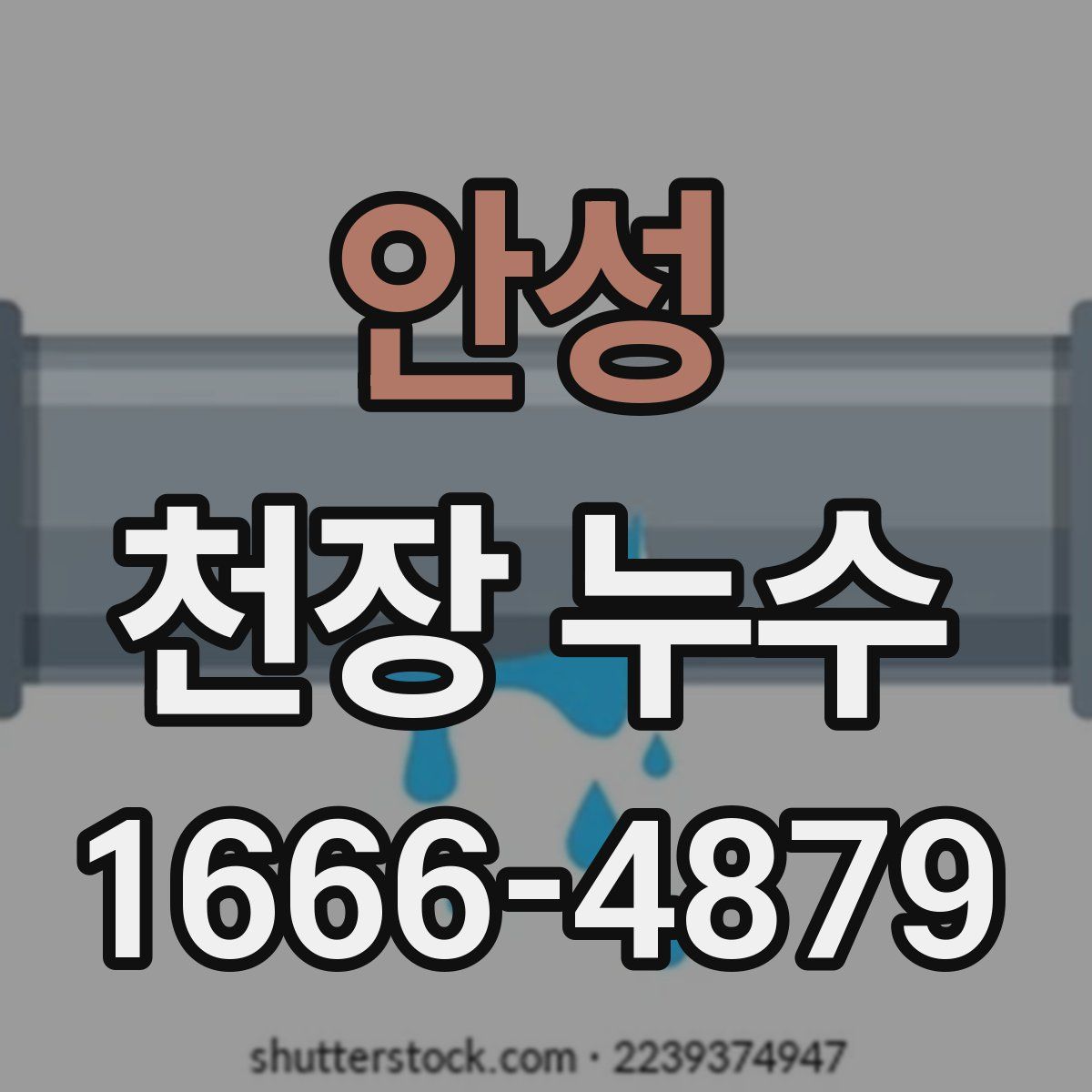 안성 천장 누수