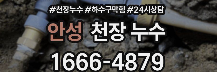 안성 천장 누수