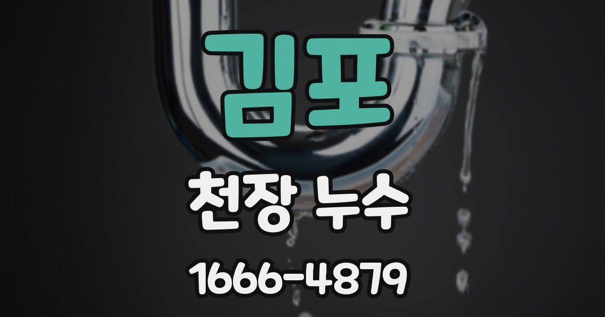 김포 천장 누수