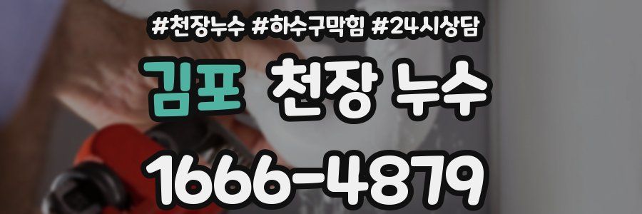 김포 천장 누수