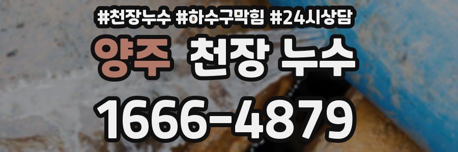 양주 천장 누수