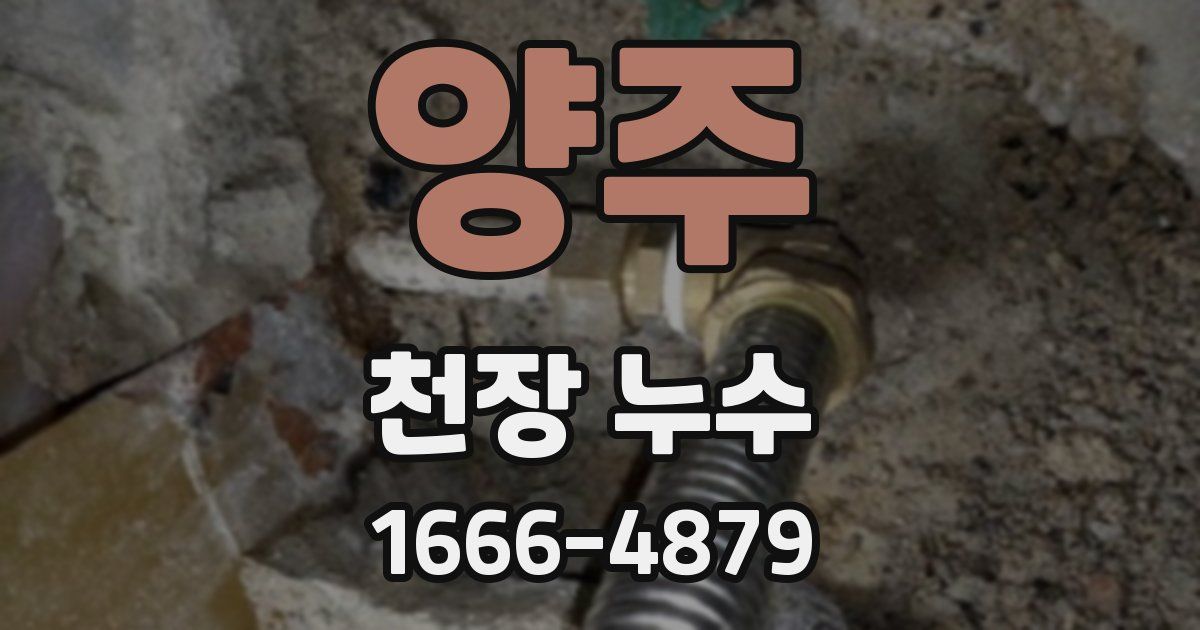 양주 천장 누수