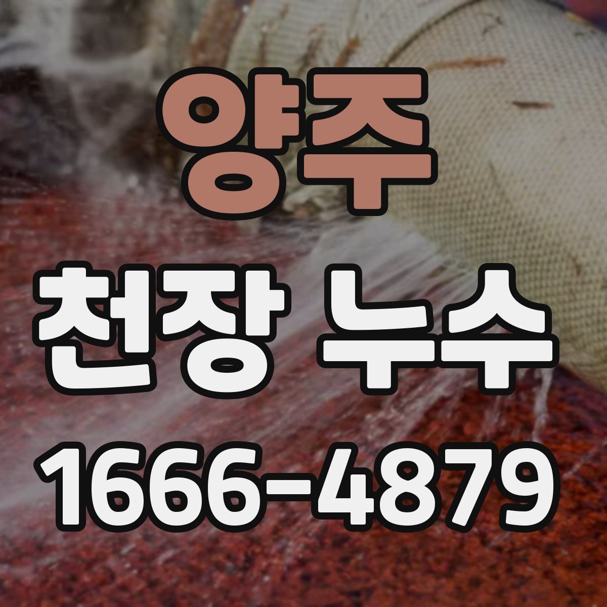 양주 천장 누수