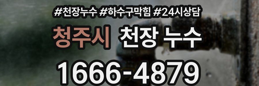 청주시 천장 누수