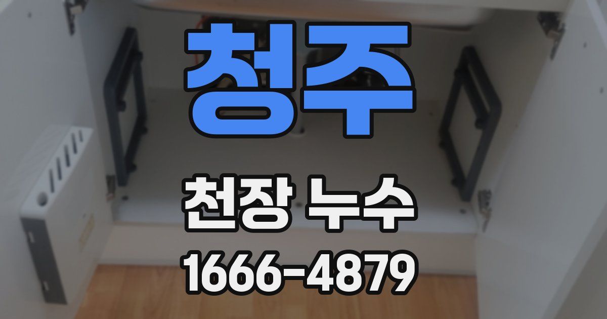 청주 천장 누수