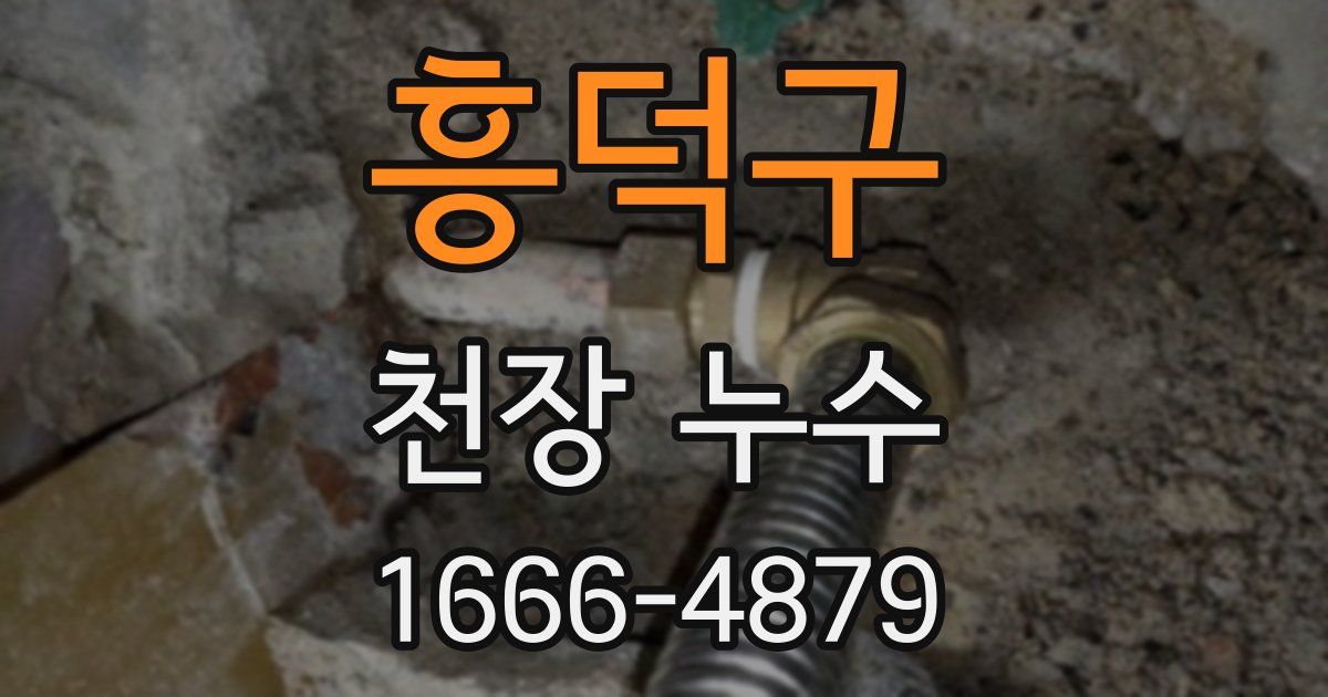 흥덕구 천장 누수